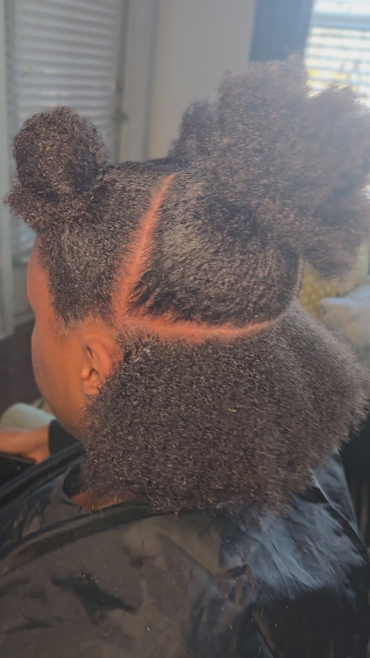Natural Hair Twists