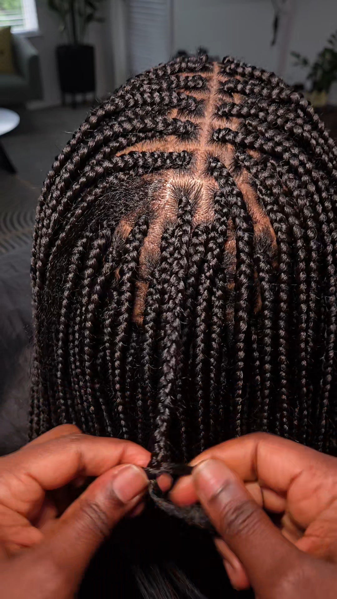 Traditional Box Braids