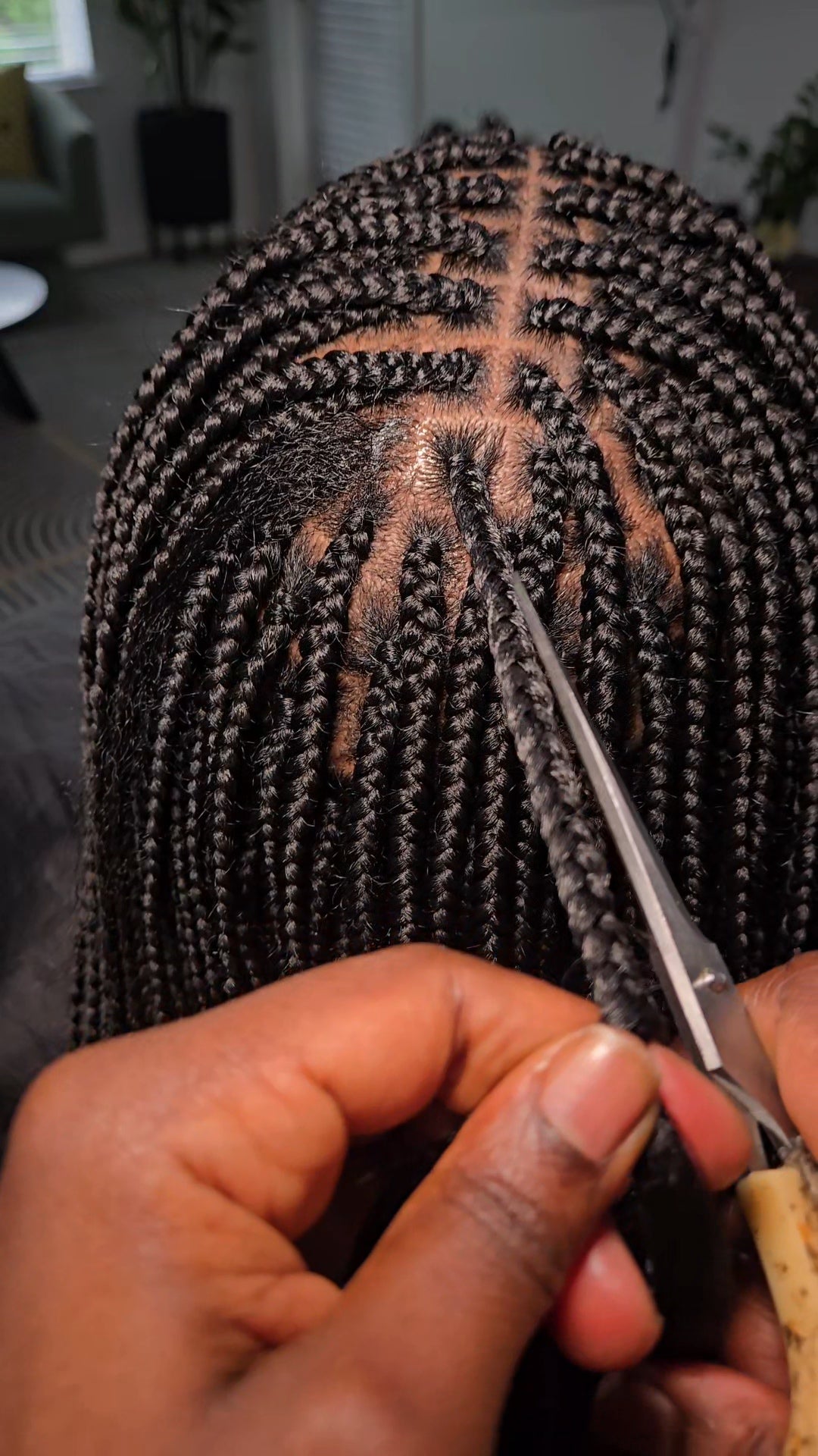 Traditional Box Braids